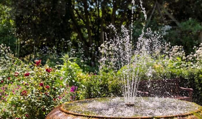 prevent-mosquitoes-in-bird-bath