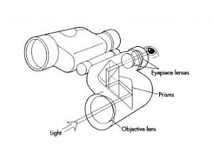 10x42-binoculars-what-does-that-mean