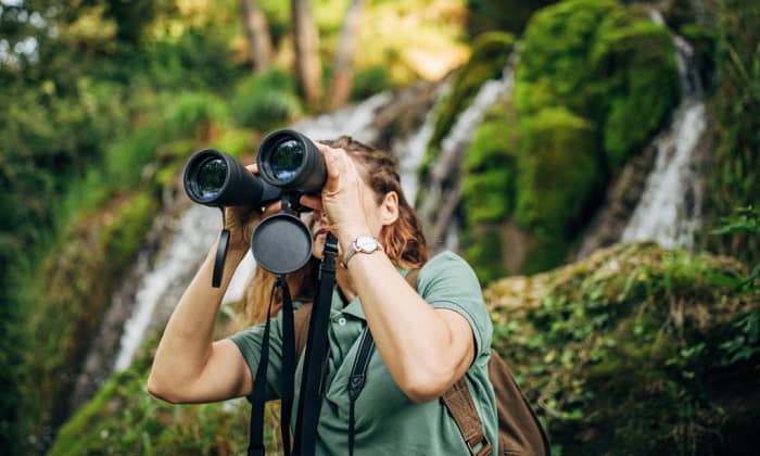 10x42-vs-8x42-binoculars