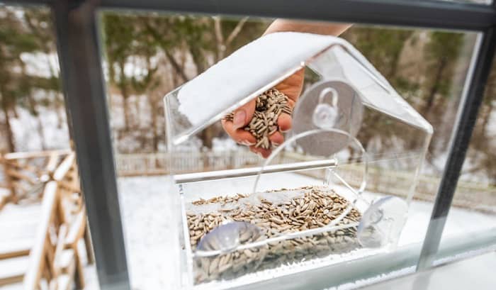 how to hang a bird feeder outside a window