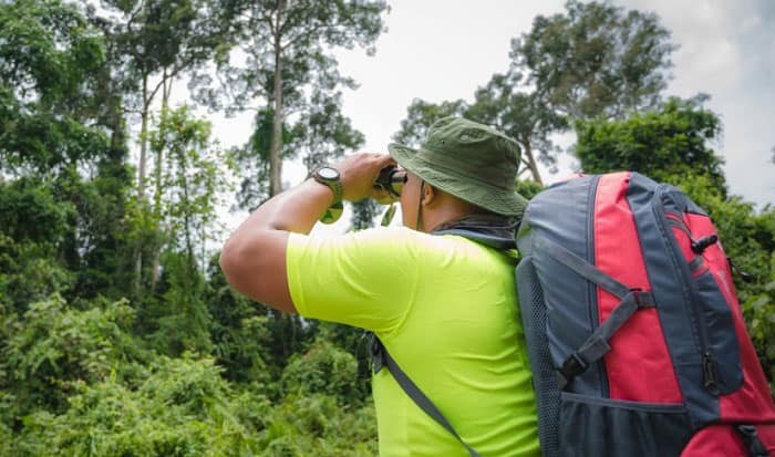 bird-watcher-name