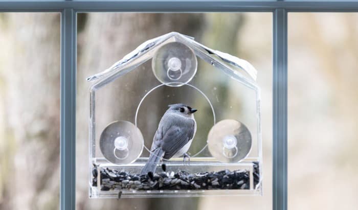 bird-feeder-that-attaches-to-window