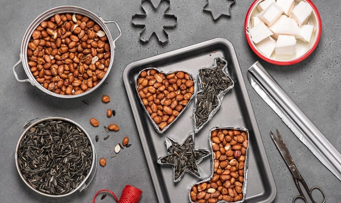 birdseed-ornaments-diy