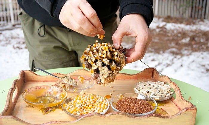 peanut-butter-pine-cone-bird-feeder