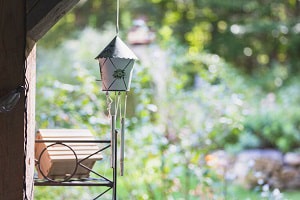 window-bird-deterrent