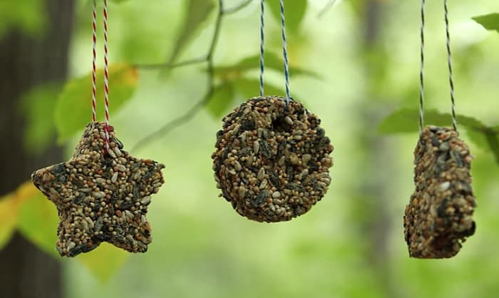 bird-seed-ornaments-with-corn-syrup