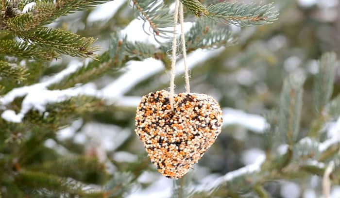 birdseed ornaments without gelatin