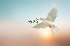 spiritual-meaning-of-birds