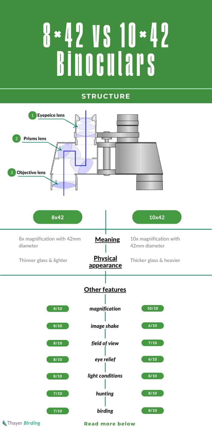 10x42-binoculars-what-does-that-mean