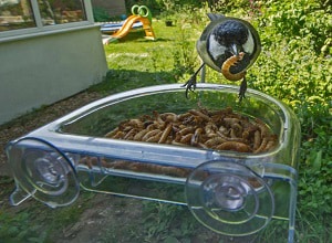 backyard-bird-feeding-station-ideas