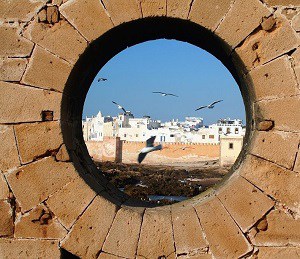 birds-circling-overhead-meaning
