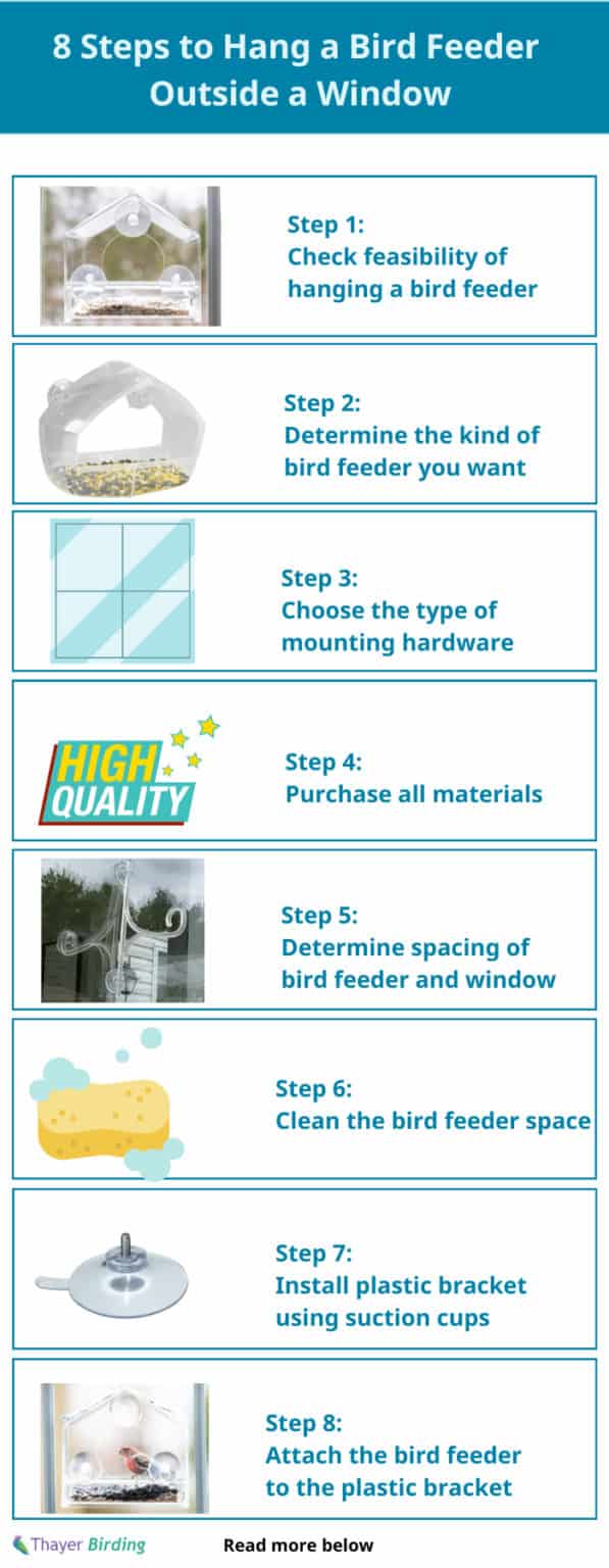How to Hang a Bird Feeder Outside a Window? (Stepbystep)