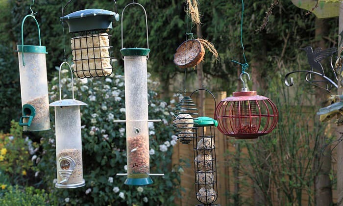 heavy-duty-bird-feeding-station