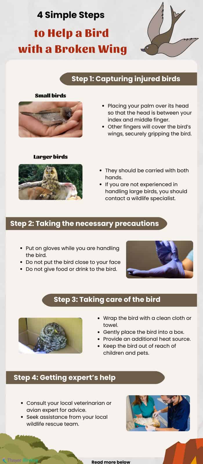 help-on-injured-bird