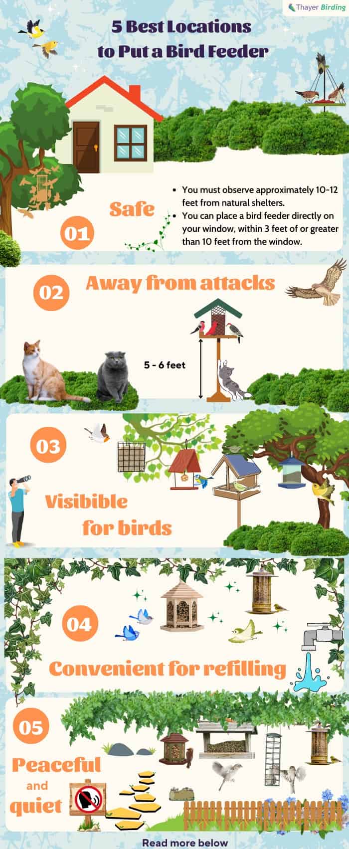 bird-feeders-be-close-to-the-house