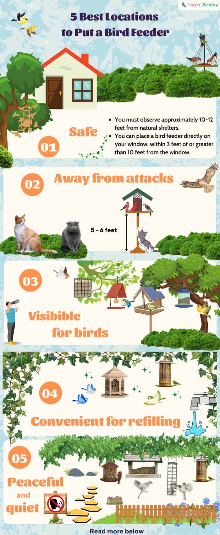 bird-feeders-be-close-to-the-house