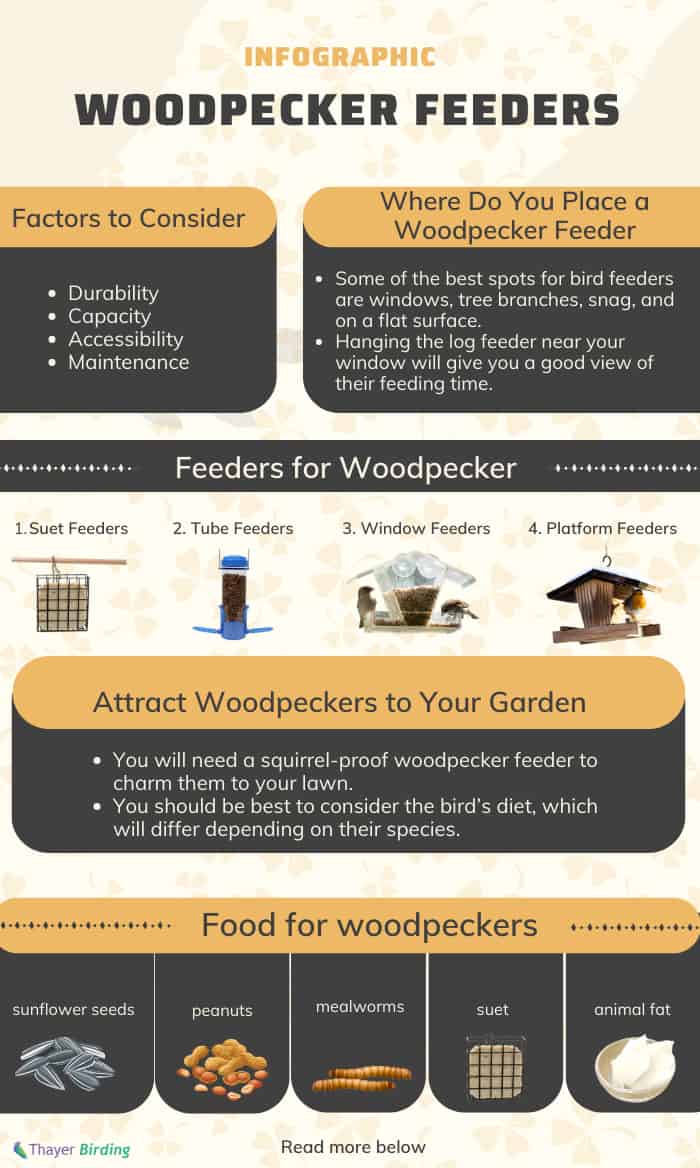 Woodpecker-suet-feeder-Plans