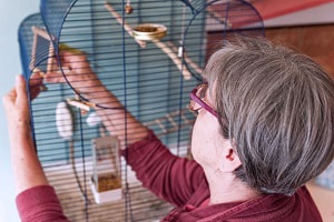 bird-cage-cleaners