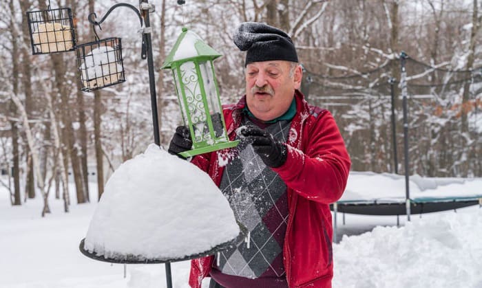 how do birds find bird feeders