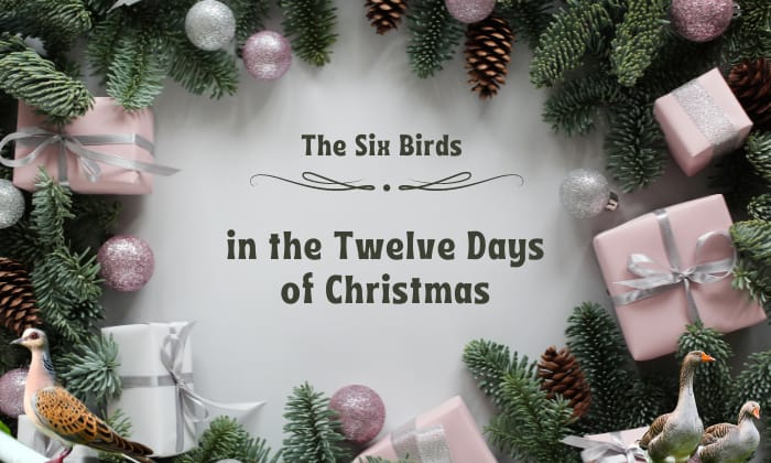 how many birds are in the 12 days of christmas