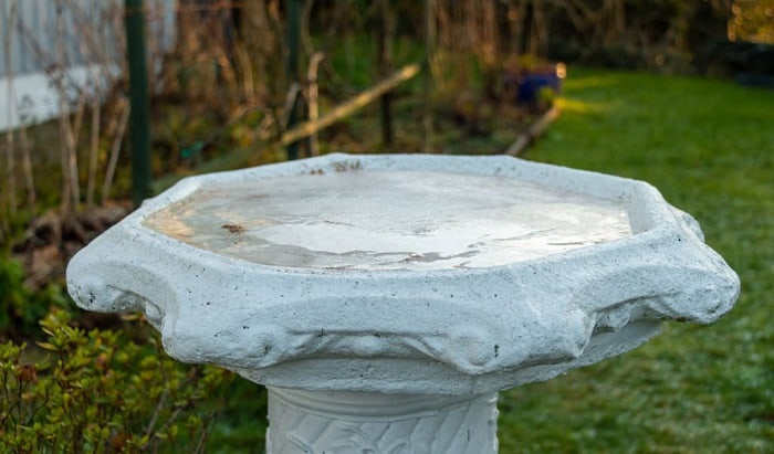 clean-a-cement-bird-bath