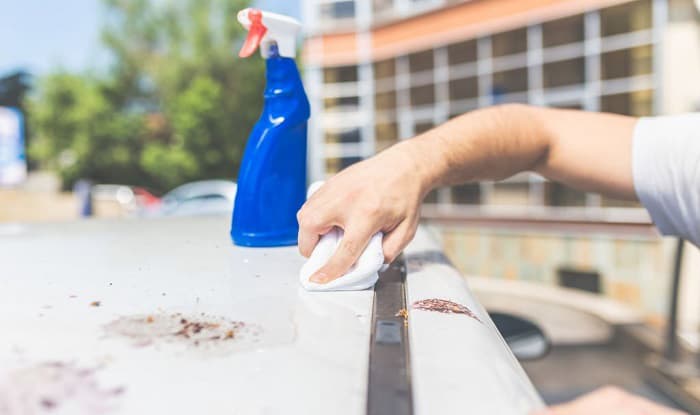 how to remove bird poop stains from car