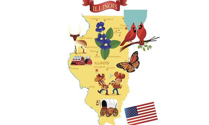 illinois-state-bird