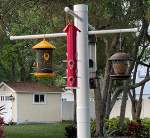 pvc-pipe-and-squirrel-proof-bird-feeder