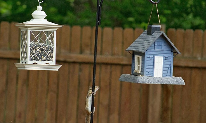 squirrel-proof-bird-feeder-hangers