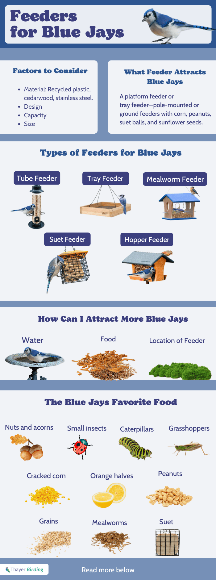 feeders-for-blue-jays