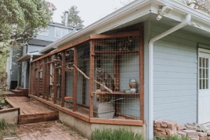 bird-feeder-for-cat