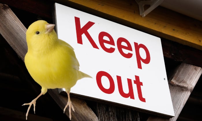 how to keep birds out of barns