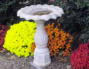 bird-bath-planter-ideas