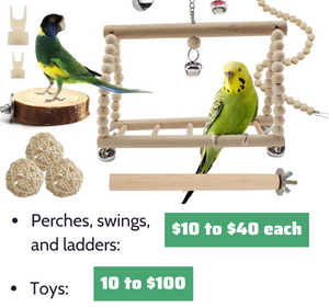 Accessories-and-Toys-Cost-Considerations