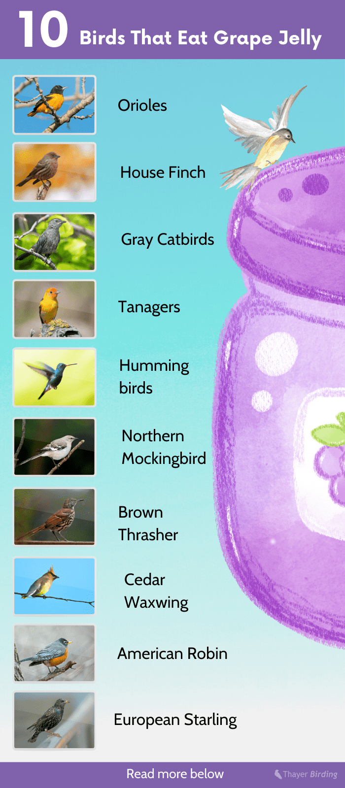 grape-jelly-bird-feeders