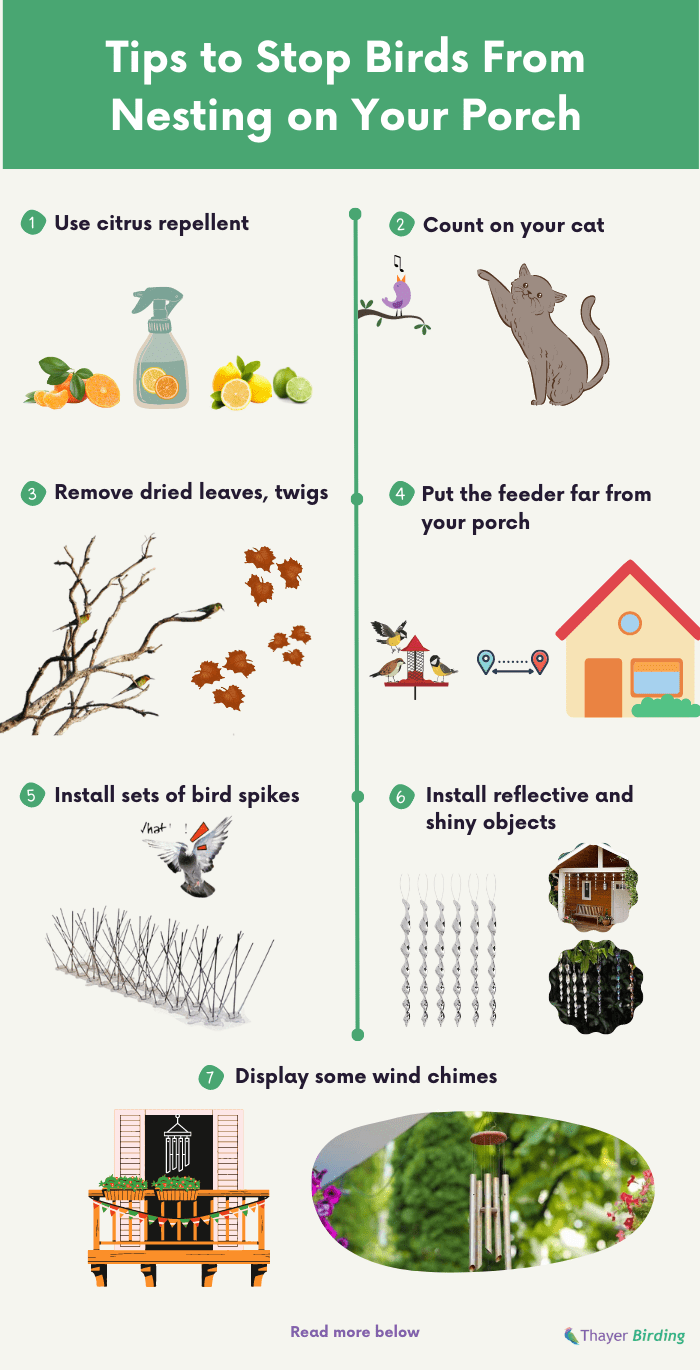 keep-birds-from-nesting-on-your-porch