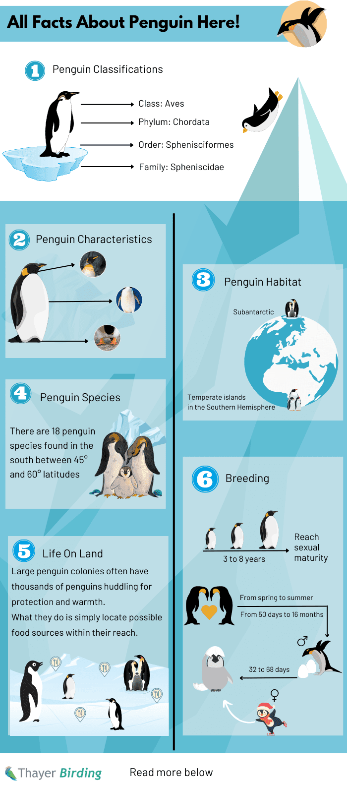 penguin-classifications