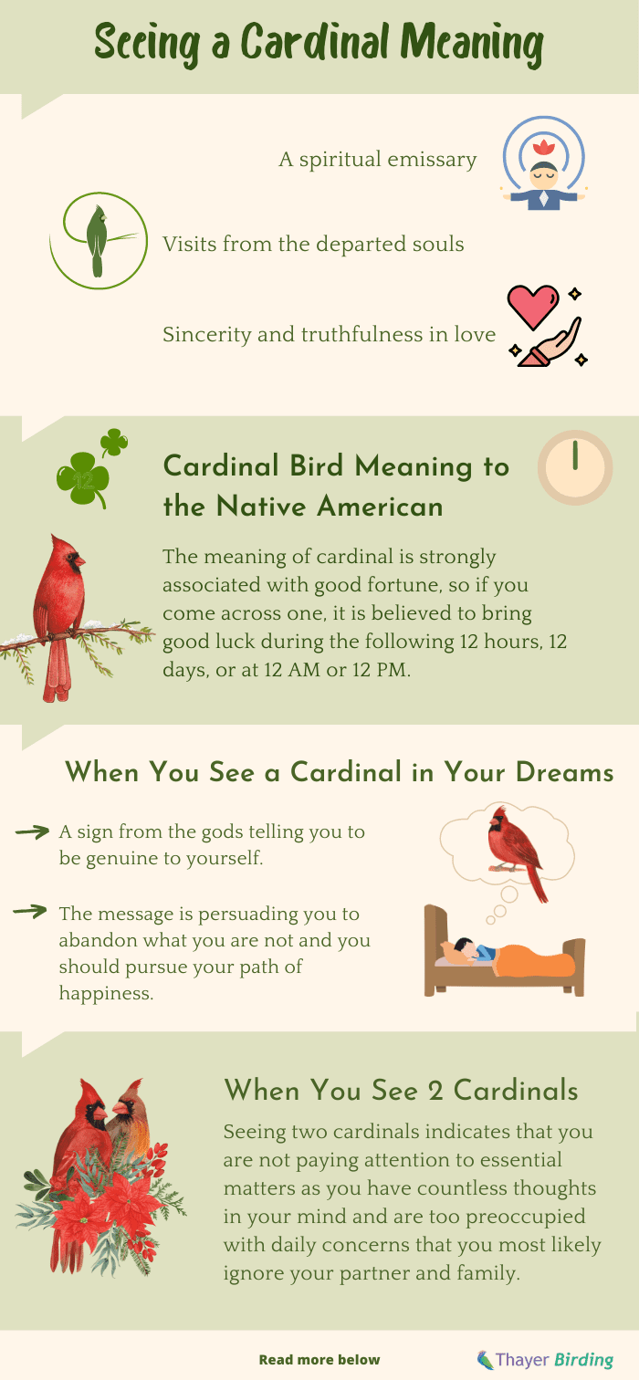 cardinal-bird-meaning