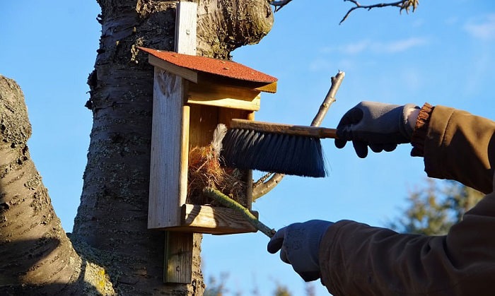 clean-a-bird-house