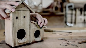 clean-out-bird-boxes