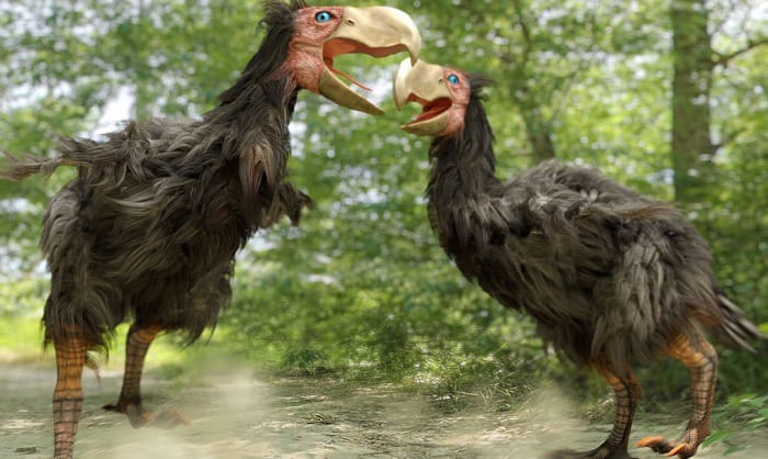 closest-living-relatives-to-dinosaurs