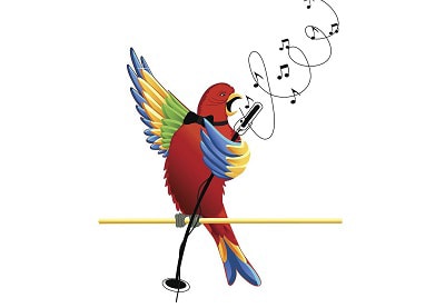 cockatoos-dance