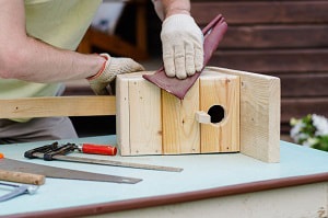 remove-old-nest-from-bird-box