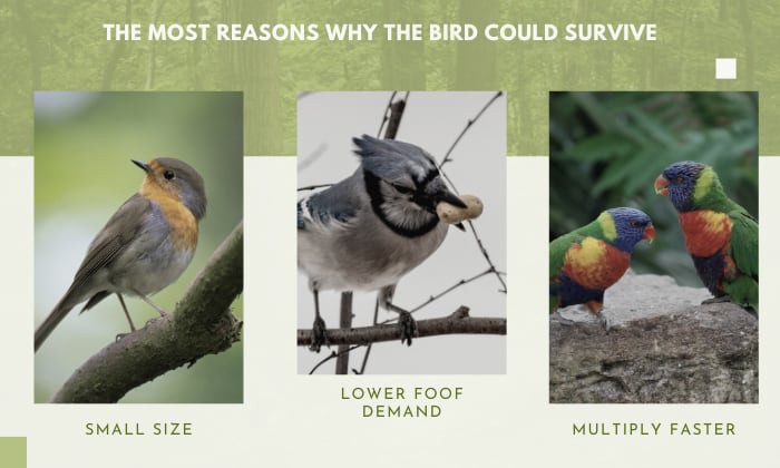 the-Bird-Ancestors-Survive-the-Mass-Extinction
