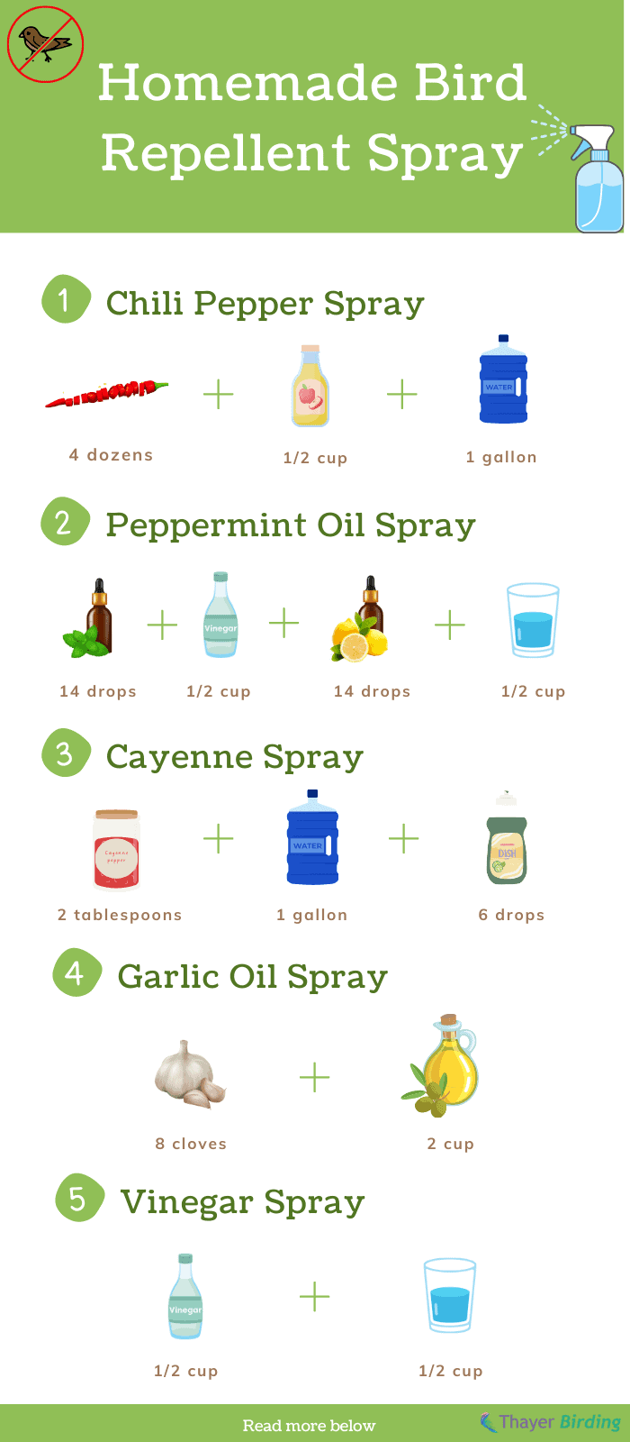 bird-repellent-homemade