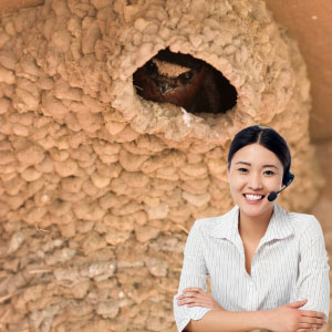 prevent-barn-swallows-from-building-a-nest