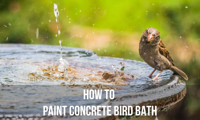 How to Paint Concrete Bird Bath