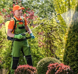 Professional-removal-to-keep-crows-out-of-my-home