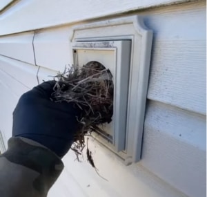 STEP-2-TO-Install-Dryer-Vent-Bird-Guard