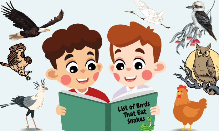 What Birds Eat Snakes? - List of 7 Birds (w/Pictures)